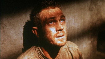 Galeria 5 - Papillon