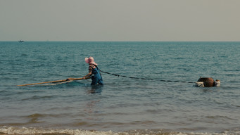 Blue Sea (2026)