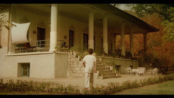 #11 The Pear Tree