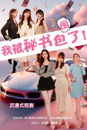 我被秘书包围了 poster