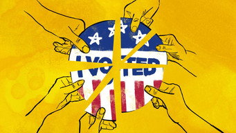 One Person, One Vote? (2024)