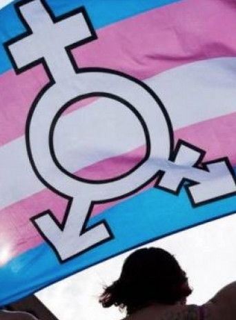 Cómo me convertí en mujer (2024)