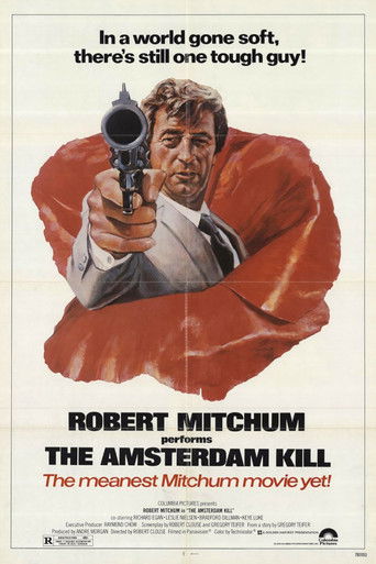 The Amsterdam Kill poster 4