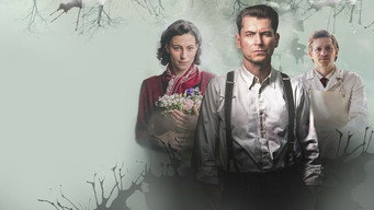 The Well (2025)