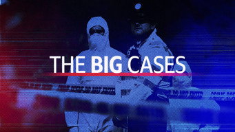 The Big Cases (2022- )