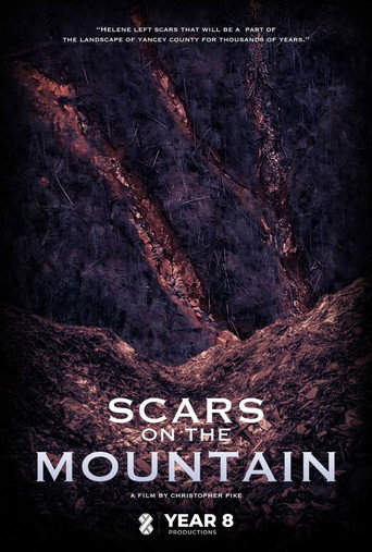 Scars on the Mountain
