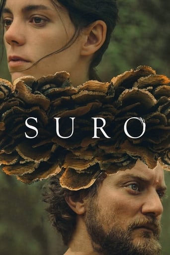 Poster of Suro