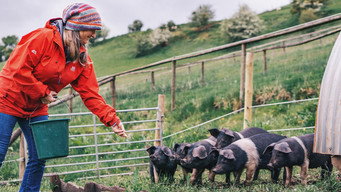 A Cotswold Farm Shop (2023- )