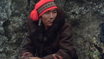 Our Land, Our Truth (1982)