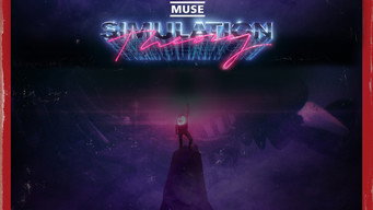#6 Simulation Theory Film