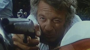 La guérilléra (1982)