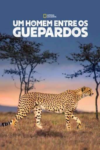 Man Among Cheetahs