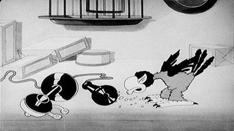 The Bird Store (1932)