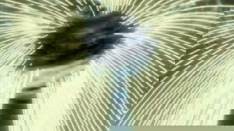 Cena de Nosso Querido Digimundo