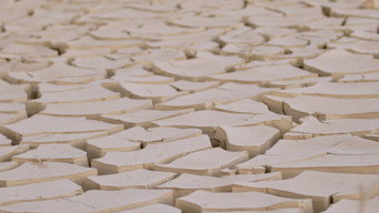 Clay