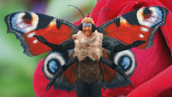 Episode 8 — A Meteor For The Dinosaurs, Binary Bangers And Perilous Plants