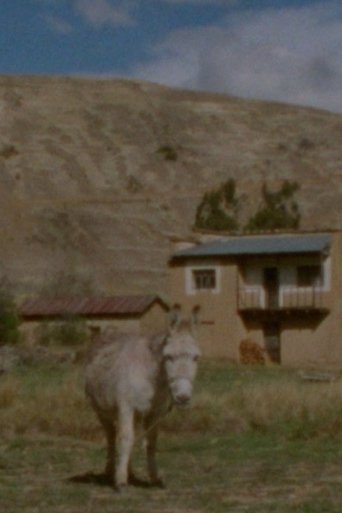 What Humans See As Blood Jaguars See As Chicha