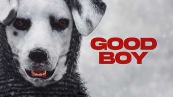 #12 Good Boy