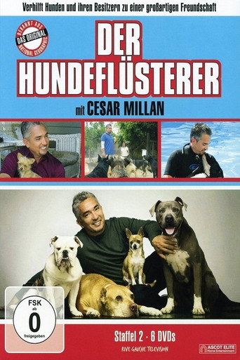 Staffel 2