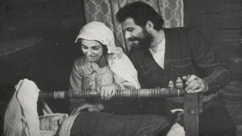 Mevludi media image