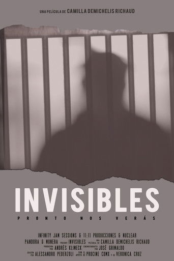 Invisibles poster