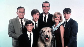 My Three Sons (1960-1977)