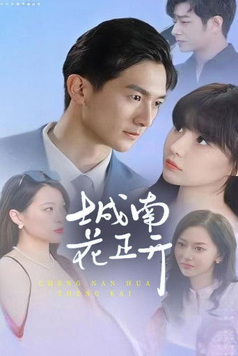 城南花正开 poster