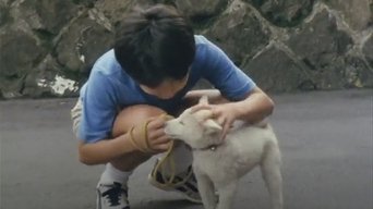 Episódio O Cachorro Bomba da série Machineman