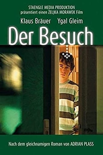 poster Der Besuch