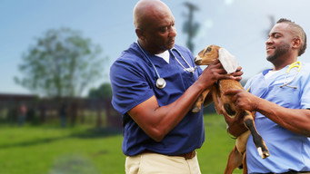 Critter Fixers: Country Vets S1E6: A Litter of This, A Litter of That