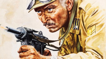 Commandos media image