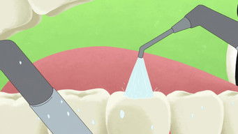 Episode 29 — Take Care of Your Teeth