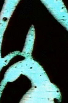 The Light Touch Dust Nebula poster