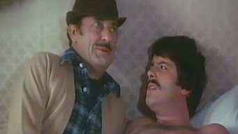 What's Up Superdoc! (1978)