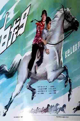 白龙马 (1981)