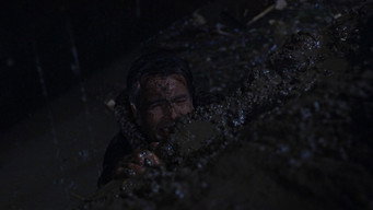 #12 The Deadly Affair