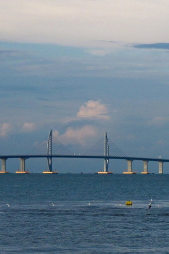Le pont Hong Kong-Zhuhai-Macao