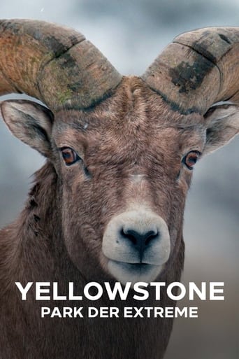 Epic Yellowstone: Season 1