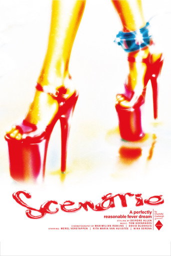 SCENARIO poster