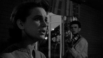 Квітка на камені (1962)
