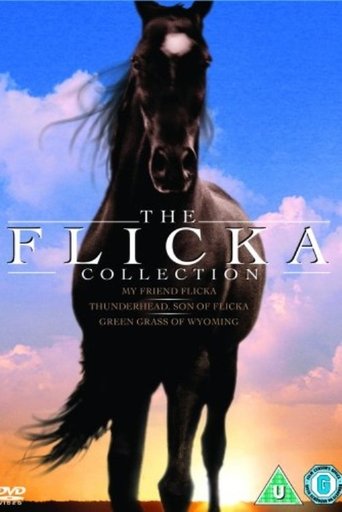 The Flicka Collection Poster