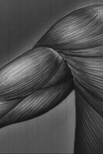 Human skeleton, muscles, movement and posture - Part II (1951) Human skeleton, muscles, movement and posture - Part II (1951)