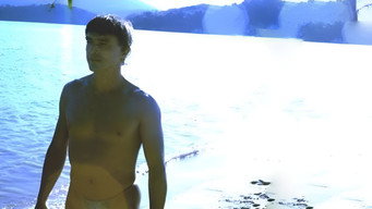 #4 The Dolphin