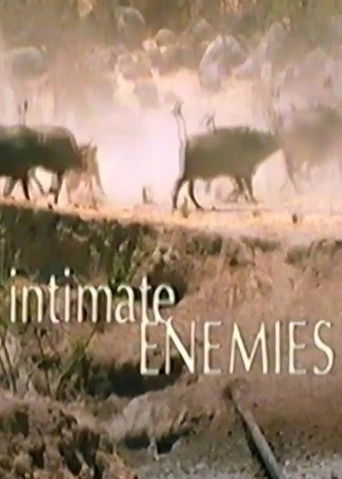 Intimate Enemies (2000)