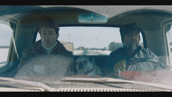 Drive Back Home (2024)
