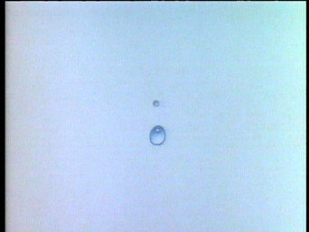 Episode 14 — Acid Rain