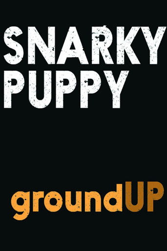 Snarky Puppy: groundUP poster
