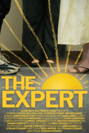 Poster film The Expert