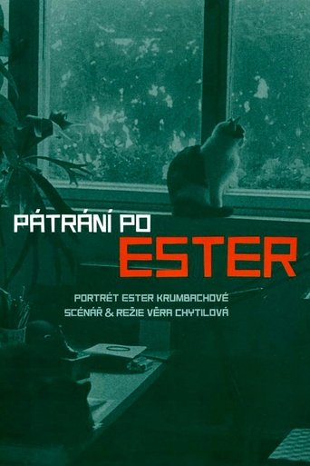 Poster of Pátrání po Ester