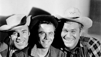 #8 The Desperadoes